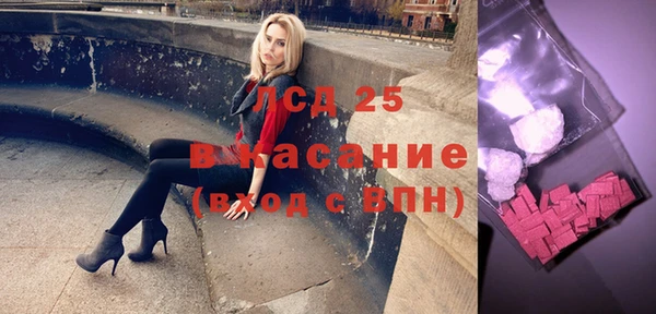индика Видное
