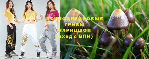дурь Абаза
