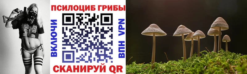 Галлюциногенные грибы GOLDEN TEACHER  Зеленодольск 